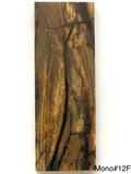 RAFFIR FOSSIL MONO SCALE- Mammoth Tusk