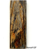 RAFFIR FOSSIL MONO SCALE- Mammoth Tusk