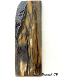 RAFFIR FOSSIL MONO SCALE- Mammoth Tusk