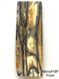 RAFFIR FOSSIL MONO SCALE- Mammoth Tusk