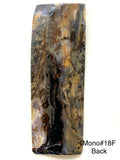 RAFFIR FOSSIL MONO SCALE- Mammoth Tusk