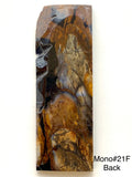 RAFFIR FOSSIL MONO SCALE- Mammoth Tusk