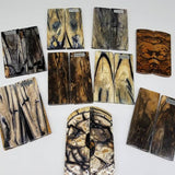 RAFFIR FOSSIL MATCHING SET - Mammoth Tusk