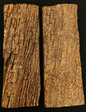 ANCIENT BOG OAK BARK-SCALE SET