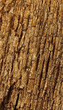 ANCIENT BOG OAK BARK-SCALE SET