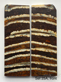 RAFFIR FOSSIL MATCHING SET - Mammoth Tooth
