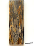 RAFFIR FOSSIL MONO SCALE- Mammoth Tusk