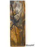 RAFFIR FOSSIL MONO SCALE- Mammoth Tusk