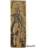 RAFFIR FOSSIL MONO SCALE- Mammoth Tusk