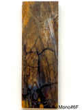 RAFFIR FOSSIL MONO SCALE- Mammoth Tusk