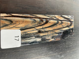 RAFFIR FOSSIL MONO SCALE- Mammoth Tusk