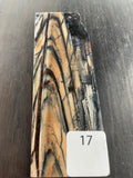 RAFFIR FOSSIL MONO SCALE- Mammoth Tusk