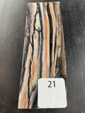 RAFFIR FOSSIL MONO SCALE- Mammoth Tusk