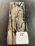 RAFFIR FOSSIL MONO SCALE- Mammoth Tusk