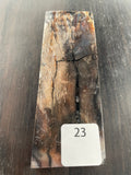 RAFFIR FOSSIL MONO SCALE- Mammoth Tusk