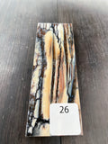 RAFFIR FOSSIL MONO SCALE- Mammoth Tusk