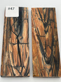 RAFFIR FOSSIL MATCHING SET - Mammoth Tusk