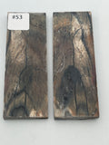 RAFFIR FOSSIL MATCHING SET - Mammoth Tusk