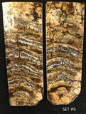 RAFFIR FOSSIL MATCHING SET - Mammoth Tooth