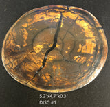 RAFFIR FOSSIL DISC-Mammoth Tusk