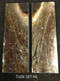 RAFFIR FOSSIL MATCHING SET - Mammoth Tusk
