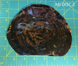 RAFFIR FOSSIL DISC-Mammoth Tusk