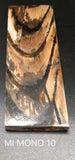 RAFFIR FOSSIL MONO SCALE- Mammoth Tusk