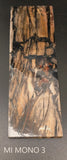 RAFFIR FOSSIL MONO SCALE- Mammoth Tusk
