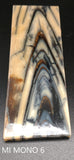 RAFFIR FOSSIL MONO SCALE- Mammoth Tusk