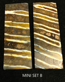 RAFFIR FOSSIL-Mammoth Tooth Mini Matching Set