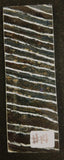 RAFFIR FOSSIL MONO SCALE- Mammoth Tooth