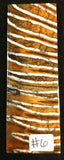 RAFFIR FOSSIL MONO SCALE- Mammoth Tooth