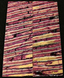 RAFFIR FOSSIL MATCHING SET - Mammoth Tooth