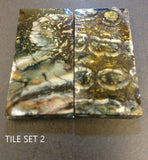 RAFFIR FOSSIL-Mammoth Tooth Tiles