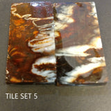 RAFFIR FOSSIL-Mammoth Tooth Tiles