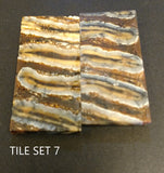 RAFFIR FOSSIL-Mammoth Tooth Tiles