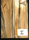 RAFFIR FOSSIL- Mammoth Tusk Tile Sets 3"x1"x0.118"
