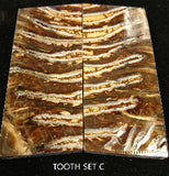 RAFFIR FOSSIL MATCHING SET - Mammoth Tooth